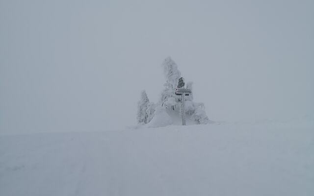Det var helhvitt men helt stille da Kondis inspiserte forholdene på Raudfjellet mandag. På lørdag er det meldt både snø og kraftig vind. (Foto: Rolf Bakken)