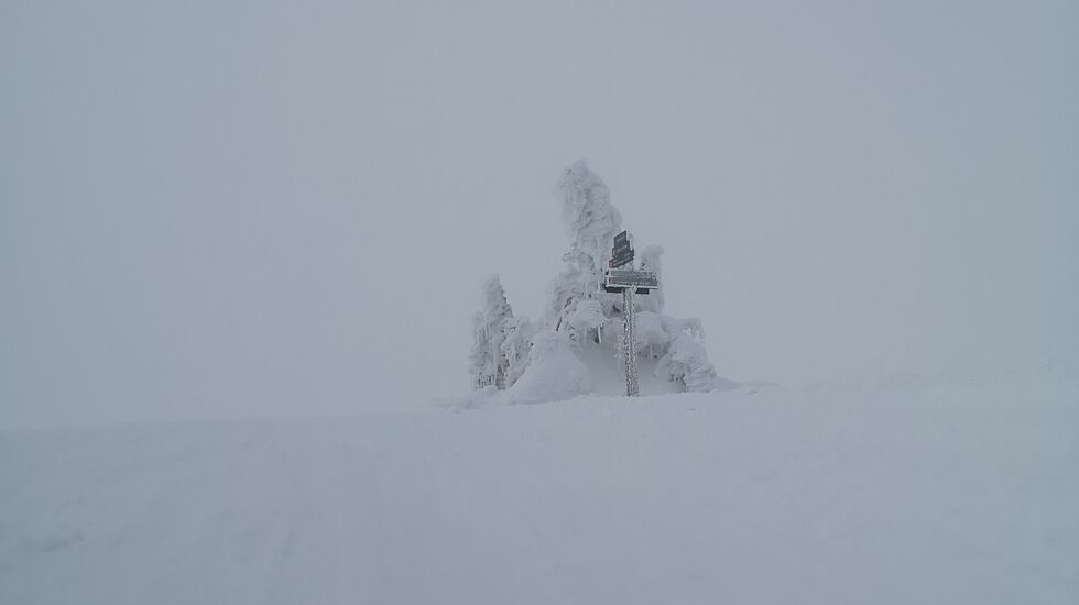 Det var helhvitt men helt stille da Kondis inspiserte forholdene på Raudfjellet mandag. På lørdag er det meldt både snø og kraftig vind. (Foto: Rolf Bakken)