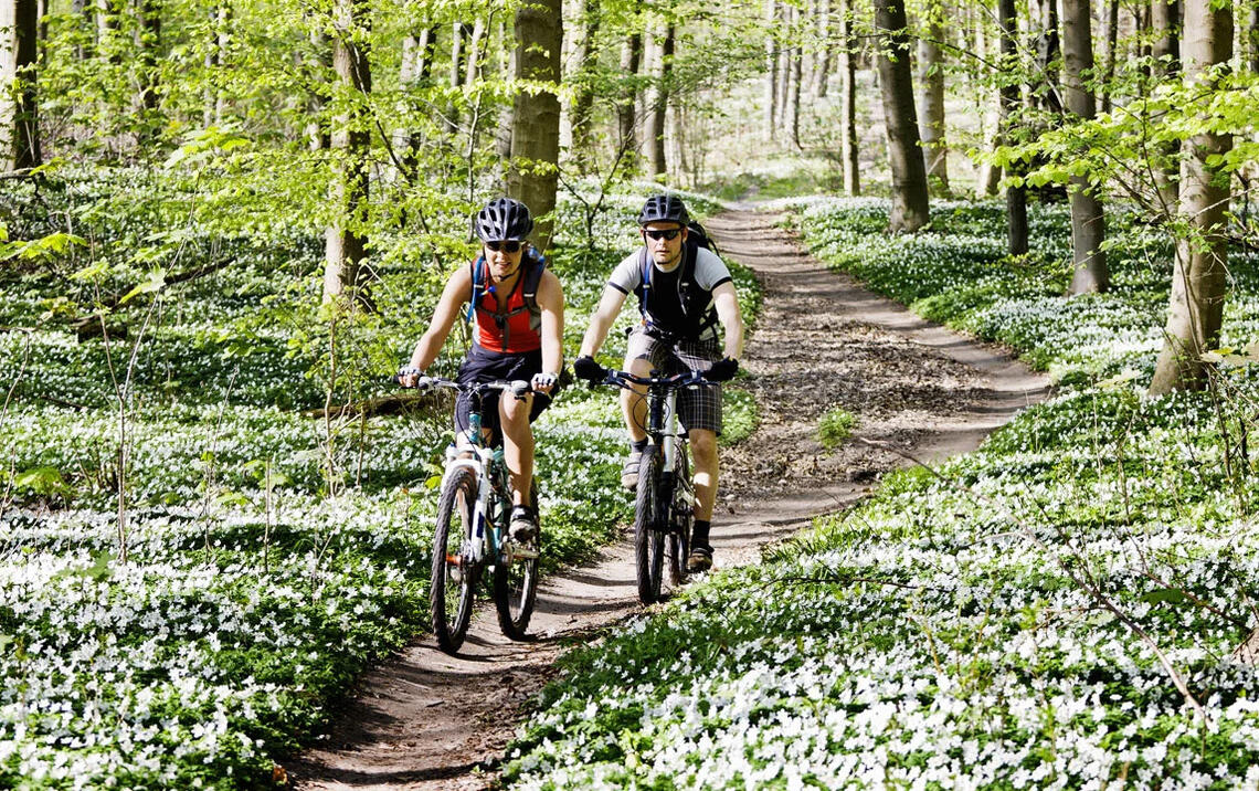 Ut i det fri: Vår og utendørs sykkeltrening hører for mange sammen. (Foto: iStockphoto) 