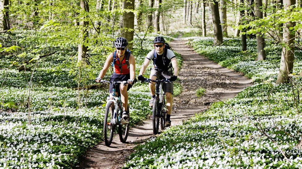 Ut i det fri: Vår og utendørs sykkeltrening hører for mange sammen. (Foto: iStockphoto)