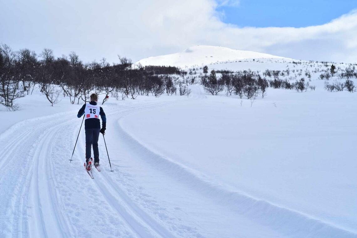 Vinteridyll i Narkuten-løypa mellom Kvilvangen og Tufsingdalen tirsdag. (Foto: Pål Ove Lilleberg)