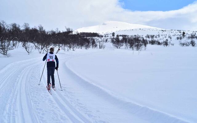 Vinteridyll i Narkuten-løypa mellom Kvilvangen og Tufsingdalen tirsdag. (Foto: Pål Ove Lilleberg)