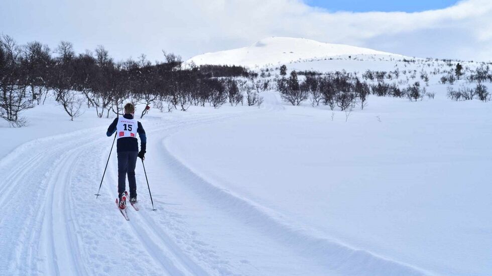 Vinteridyll i Narkuten-løypa mellom Kvilvangen og Tufsingdalen tirsdag. (Foto: Pål Ove Lilleberg)