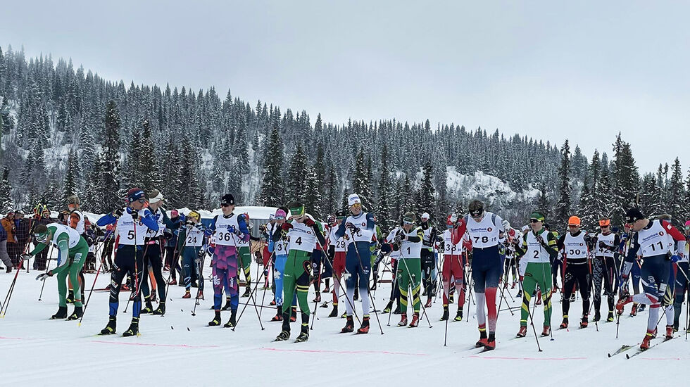 80 løpere stilte til start på hoveddistansen på 28 kilometer. (Foto: arrangøren)