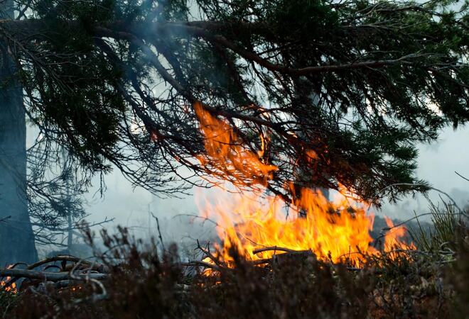 Skogbrann @Bardu brann og redning