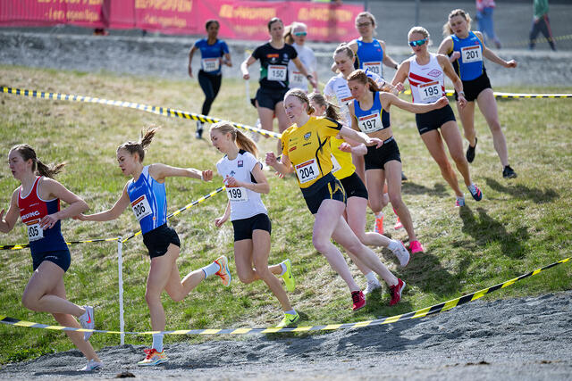Bjerkebanen byr på ei variert løype med gras og grus som underlag. (Foto: Samuel Hafsahl)