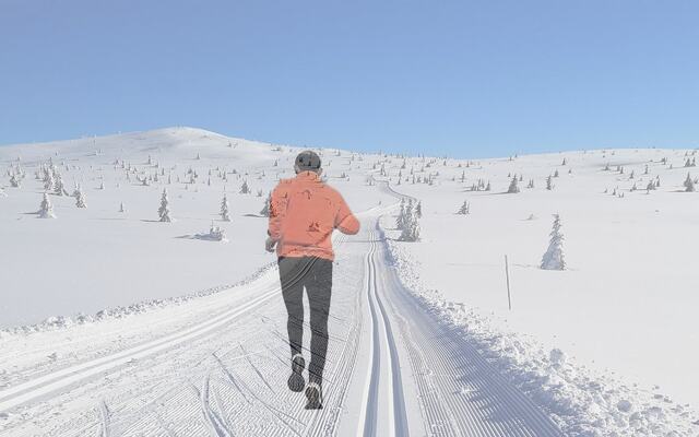Med fantastiske skiopplevelser sist vinter løper vi våren i møte med håp om like flotte turer i skog og fjell. (Fotomontasje: Rolf Bakken)