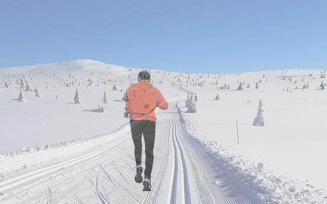Med fantastiske skiopplevelser sist vinter løper vi våren i møte med håp om like flotte turer i skog og fjell. (Fotomontasje: Rolf Bakken)