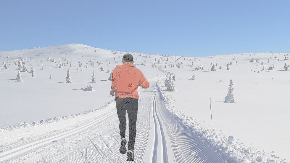 Med fantastiske skiopplevelser sist vinter løper vi våren i møte med håp om like flotte turer i skog og fjell. (Fotomontasje: Rolf Bakken)