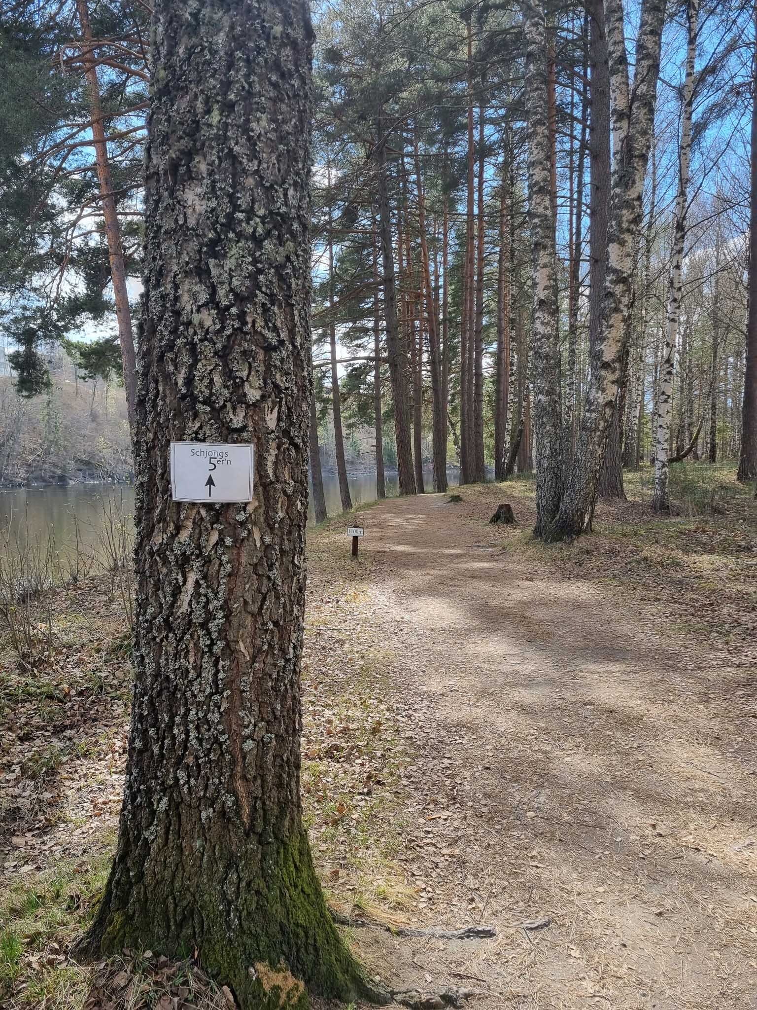 Schjongs5ern-loype.jpg