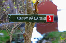 Løypen for Askøy på langs er godt merket, og etter hvert også godt tilrettelagt med trapper, plankefortau over våte myrpartier og liknende. (Alle foto: Arne Dag Myking)