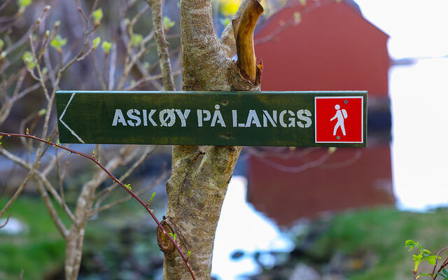 Løypen for Askøy på langs er godt merket, og etter hvert også godt tilrettelagt med trapper, plankefortau over våte myrpartier og liknende. (Alle foto: Arne Dag Myking)