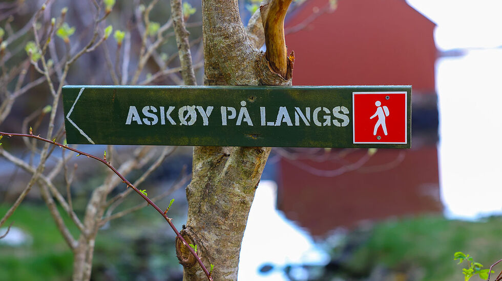 Løypen for Askøy på langs er godt merket, og etter hvert også godt tilrettelagt med trapper, plankefortau over våte myrpartier og liknende. (Alle foto: Arne Dag Myking)