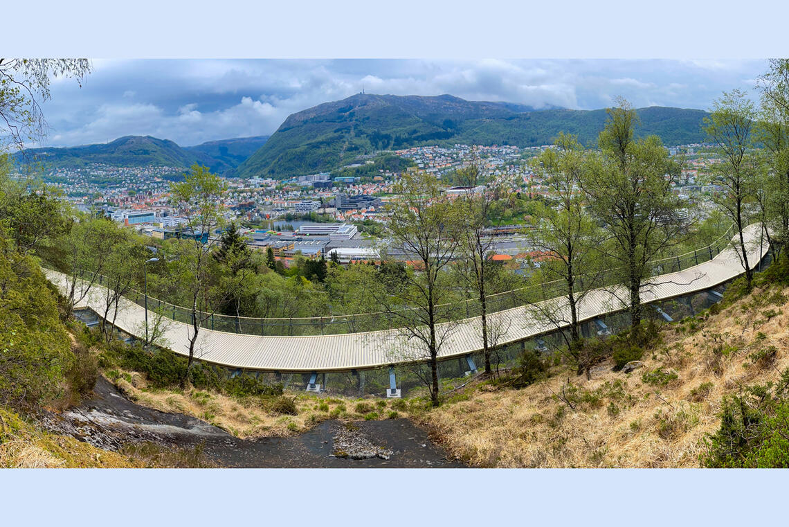 Den nye gangbroen i Løvstien er en spektakulær turvei som har blitt veldig populær. (Foto: Arne Dag Myking)