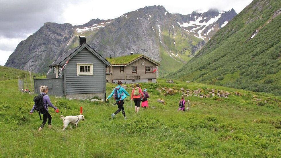Ørsta fjellmaraton. Mosjonister passerer Mosætra. Foto: Ørsta fjellmaraton