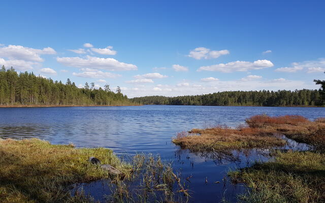 Det er fint ved Mosjøen. (Foto: Sten Arne Negård)