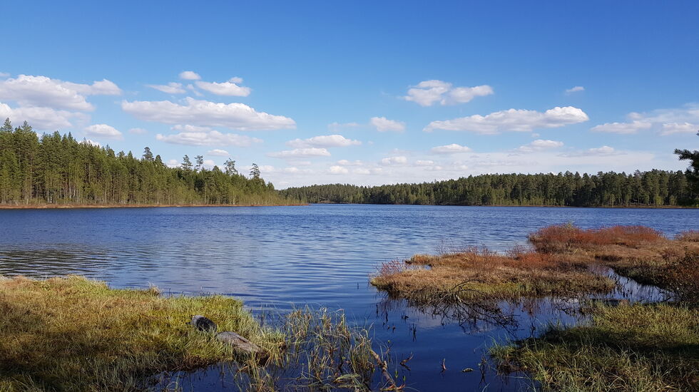 Det er fint ved Mosjøen. (Foto: Sten Arne Negård)