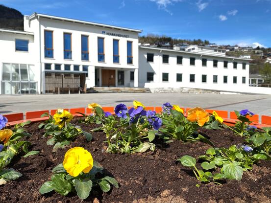 Kommunehuset i Sogndal med blomar i framgrunnen.
