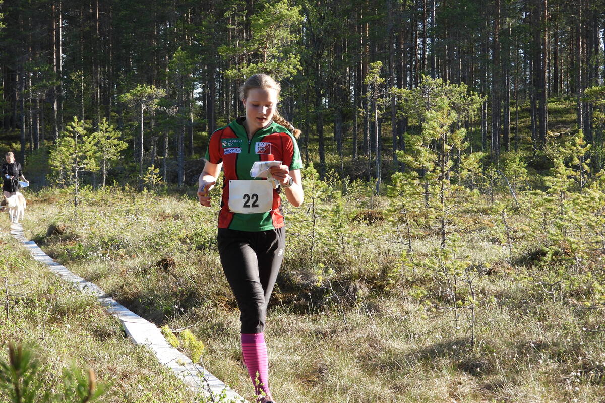 Lovisa Tyldum nr