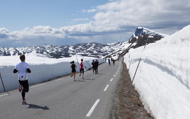 Med medvind og utfor på den første mila fra Flya ned til Bygdin går det unna for halvmaratonløperne. (Foro: arrangøren)