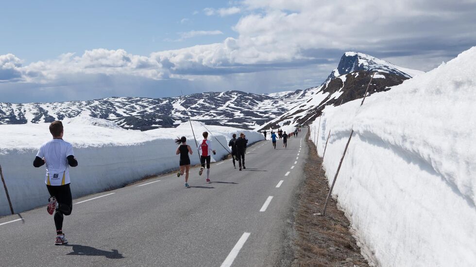 Fra den første tredelen av halvmaratonløypa som faller 300 m ned fra Valdresflya til Bygdin. (Foto fra Fjellmaratons facebookside)
