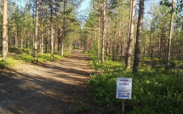 De tre løpene i vårens virtuelle karusell i Elverum går på mjuke bårnålstier øst, nord og vest for sentrum. Her fra starten på Morokuten i Svartholtet. (Foto: Rolf Bakken)