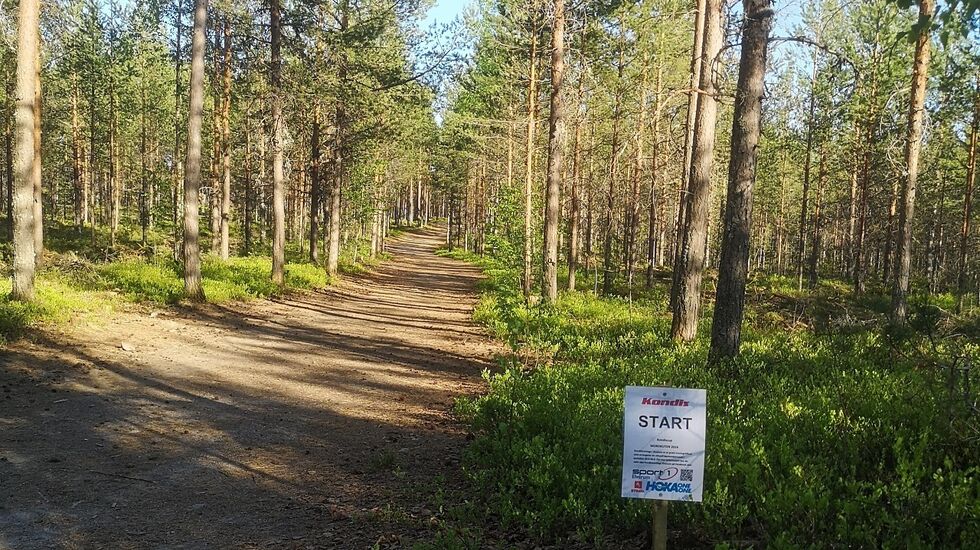 De tre løpene i vårens virtuelle karusell i Elverum går på mjuke bårnålstier øst, nord og vest for sentrum. Her fra starten på Morokuten i Svartholtet. (Foto: Rolf Bakken) 