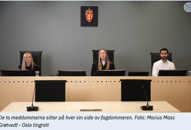 De to meddommerne sitter på hver sin side av fagdommeren. Foto: Marius Mass Grøtvedt - Oslo tingrett