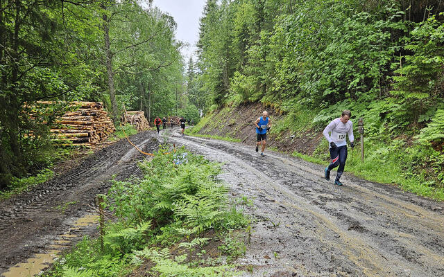 I fjor var forholda i traseen til Brandbukampen Opp heller tunge, prega som de var av regn og tømmerdrift. (Foto: MBUIL / Ole Bjerke)
