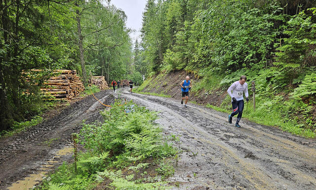 I fjor var forholda i traseen til Brandbukampen Opp heller tunge, prega som de var av regn og tømmerdrift. (Foto: MBUIL / Ole Bjerke)