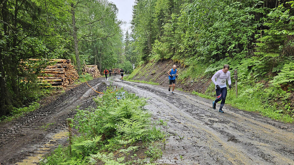 I fjor var forholda i traseen til Brandbukampen Opp heller tunge, prega som de var av regn og tømmerdrift. (Foto: MBUIL / Ole Bjerke) 
