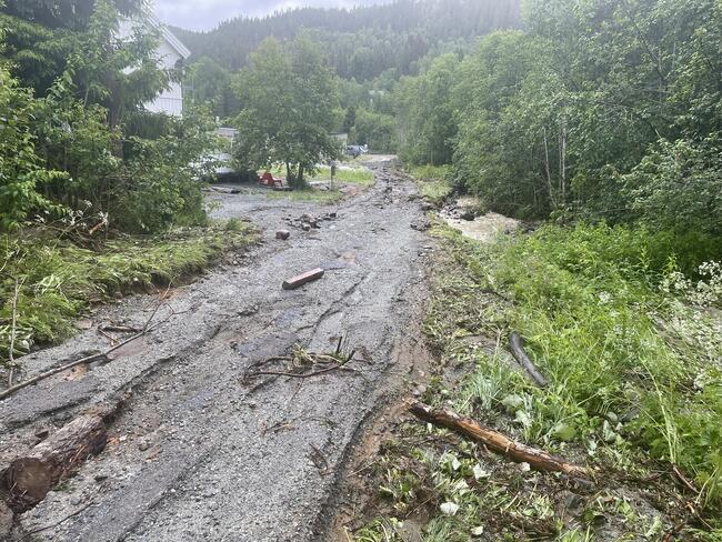 På bildet ser jeg en skadet landevei med spor av erosjon og slamavleiringer, omringet av frodig grønt landskap. Veiens overflate ser ut til å ha blitt revet opp av kraftig vannstrøm, og det er synlige greiner og rusk spredt over veibanen.