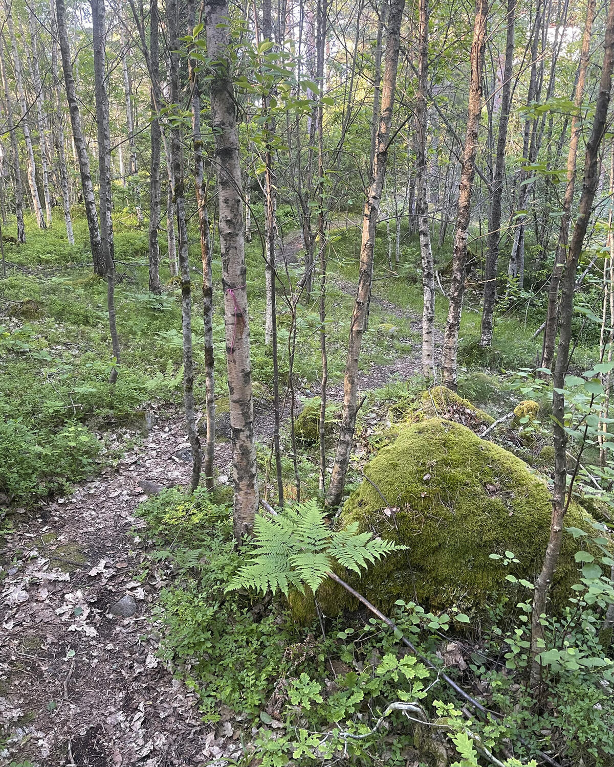 image4