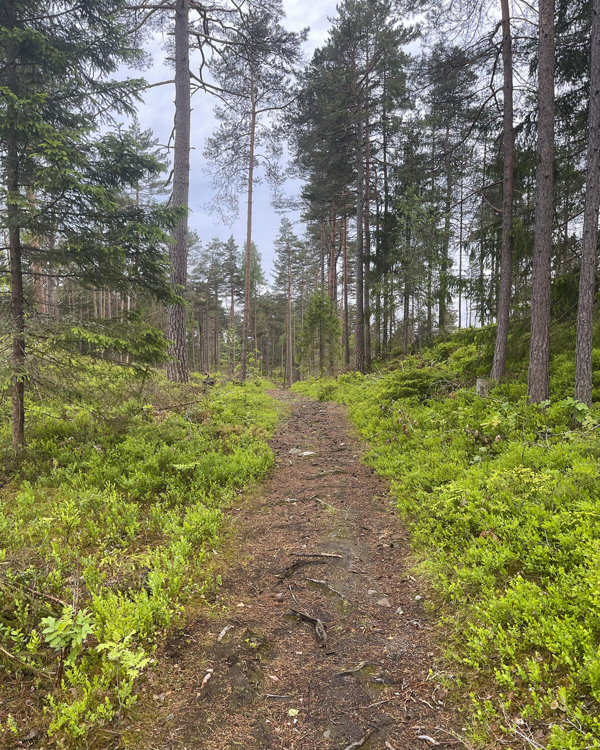 image6