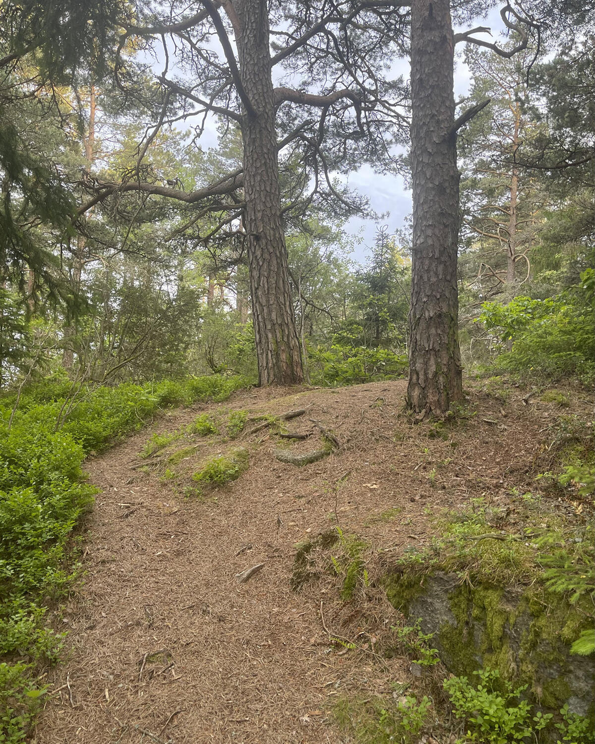 image7