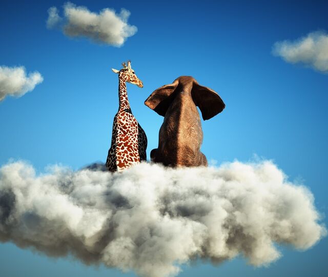 En produktiv arbeidsplass respekterer hverandres ulikheter og utnytter disse