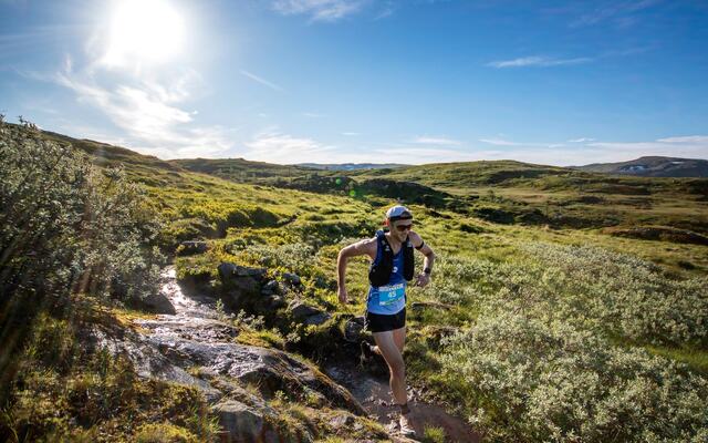 Miklos Öri var årets suverent raskeste på de 95 kilometerne rundt Hardangerjøkulen. (Foto: Kai-Otto Melau)