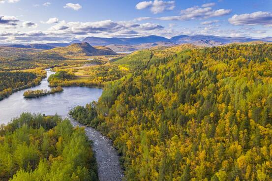 Foto: Porsanger kommune Naturen i Porsanger.