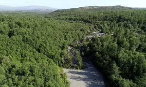 bilde fra skredområdet i Brennelv 31.7.2024. Foto: NVE/Porsanger kommune