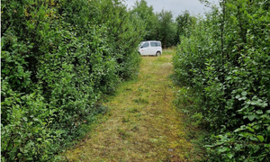 bilde fra skredområdet i Brennelv 1.8.2024. Foto: Porsanger kommune