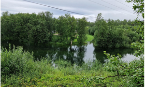 bilde fra skredområdet i Brennelv 1.8.2024. Foto: Porsanger kommune