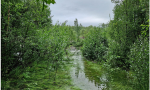 bilde fra skredområdet i Brennelv 1.8.2024. Foto: Porsanger kommune