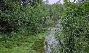 Bilde fra skredområdet i Brennelv 2.8.2024. Foto: Porsanger kommune