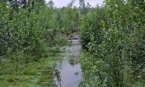 Bilde fra skredområdet i Brennelv 2.8.2024. Foto: Porsanger kommune