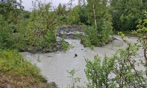 Bilde fra skredområdet i Brennelv 2.8.2024. Foto: Porsanger kommune
