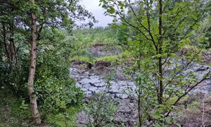 Bilde fra skredområdet i Brennelv 2.8.2024. Foto: Porsanger kommune