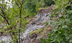Bilde fra skredområdet i Brennelv 2.8.2024. Foto: Porsanger kommune