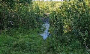 Bilde fra skredområdet i Brennelv 5.8.2024. Foto: Porsanger kommune