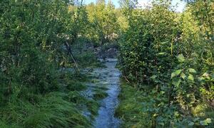 Bilde fra skredområdet i Brennelv 5.8.2024. Foto: Porsanger kommune