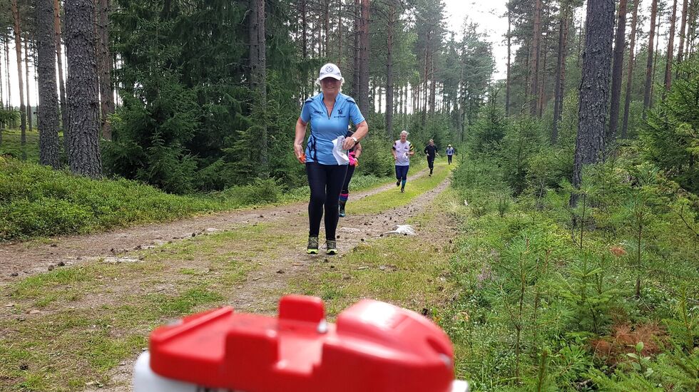Løpere på rekke og rad mot mål. (Foto: Stein Arne Negård)